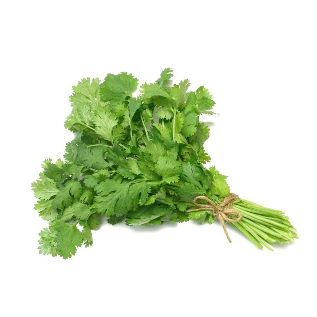 جرزة كزبرة بلدية