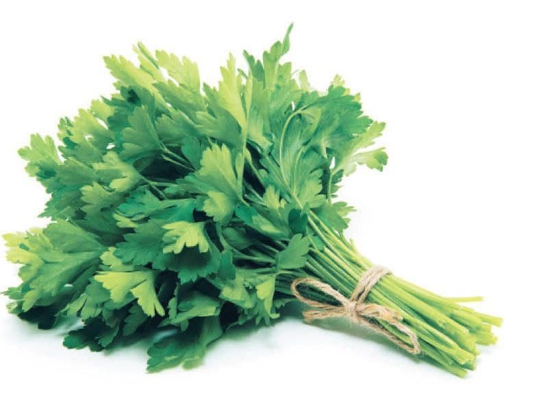 جرزة بقدونس بلدي