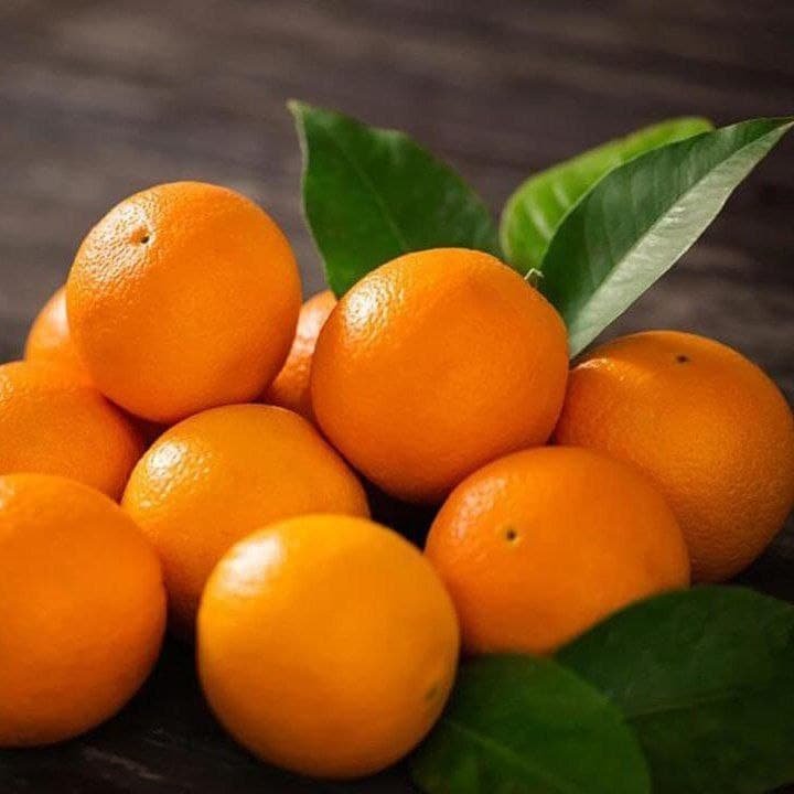 كيلو برتقال