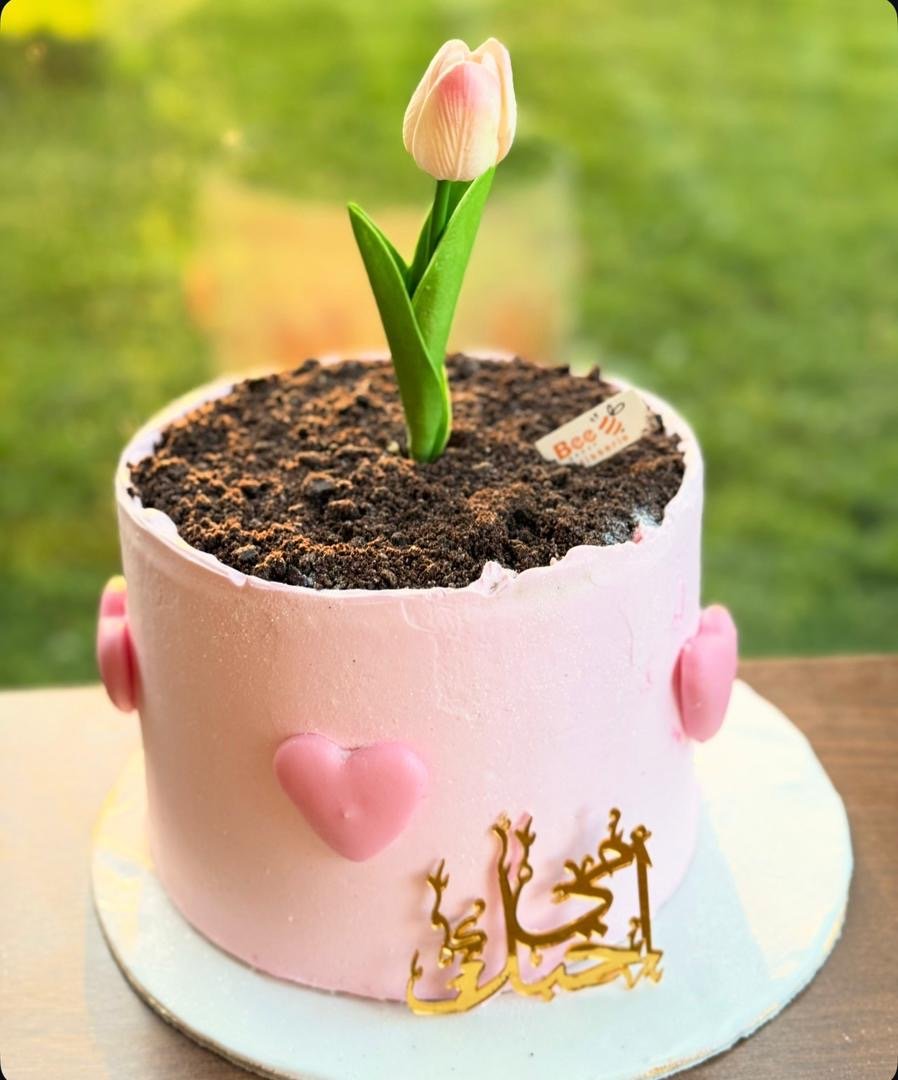 قالب كيك تصميم Mother 3