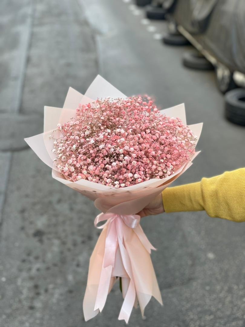 باقة جبسوفيل